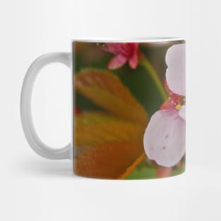 Pink Blossom Trio Mug